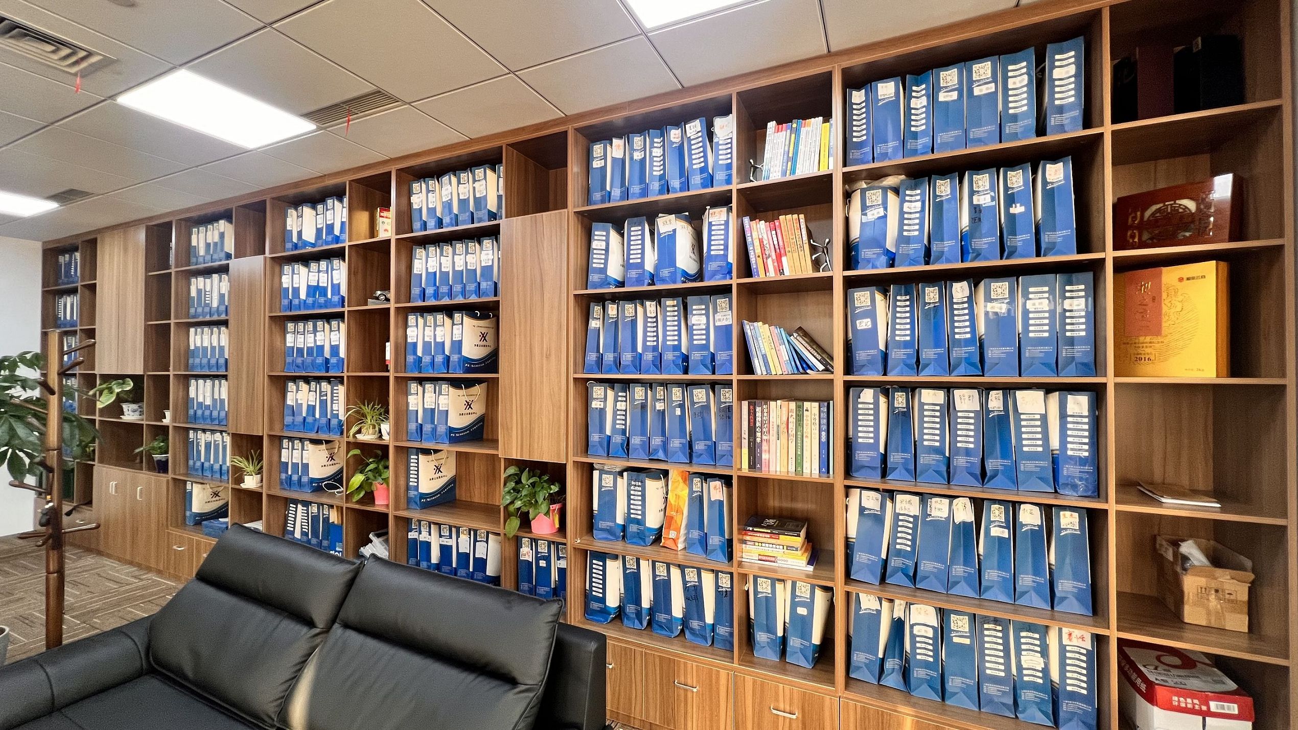 注册流程延误时股份公司如何应对崇明监管问询